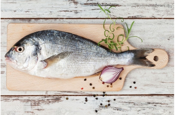 Glace écaille pour poissonnerie 