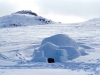 Origine de l'Igloo - Sanmac